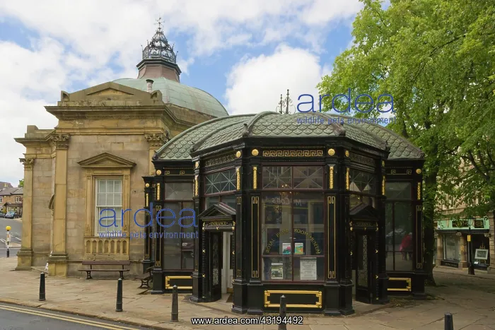 : The Royal Pump Room, Royal Parade, Harrogate, North : The Royal Pump Room, Royal Parade, Harrogate, North