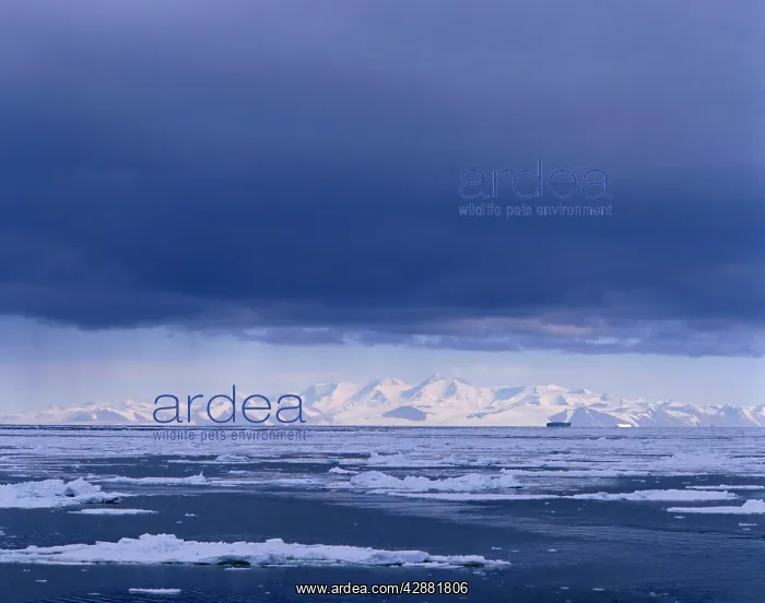 : Royal Society Range TransAntarctic Mountains : Royal Society Range TransAntarctic Mountains