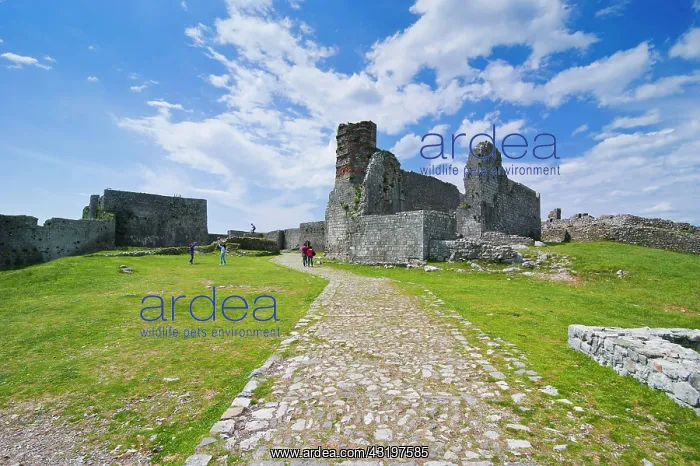 : Rozafa Castle, Shkod&, xeb;r, Shkodra, Albania : Rozafa Castle, Shkod&, xeb;r, Shkodra, Albania