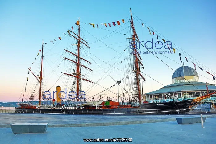  : RRS Discovery polar exploration ship at Discovery