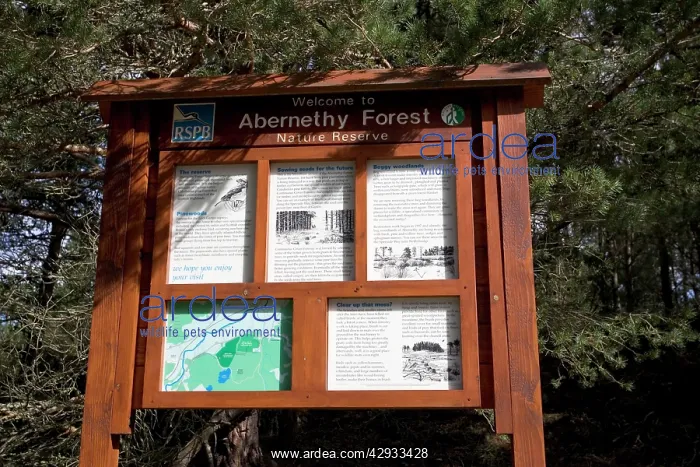 : RSPB Sign - Abernethy Forest Nature Reserve : RSPB Sign - Abernethy Forest Nature Reserve