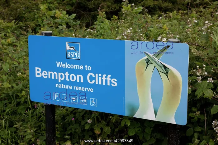 : RSPB signbard at entrance to Bempton Cliffs Reserve : RSPB signbard at entrance to Bempton Cliffs Reserve