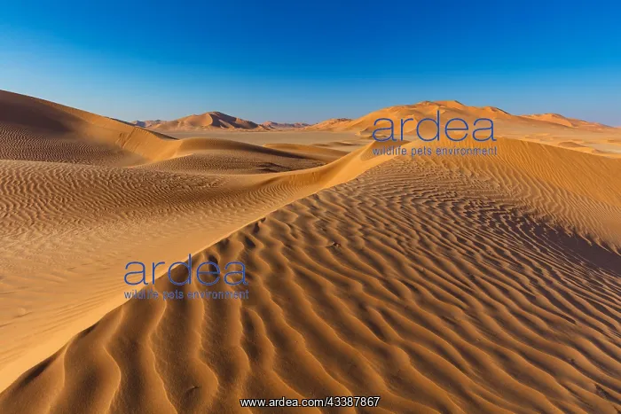 : Rub al-Shali, the largest desert on earth in Oman : Rub al-Shali, the largest desert on earth in Oman