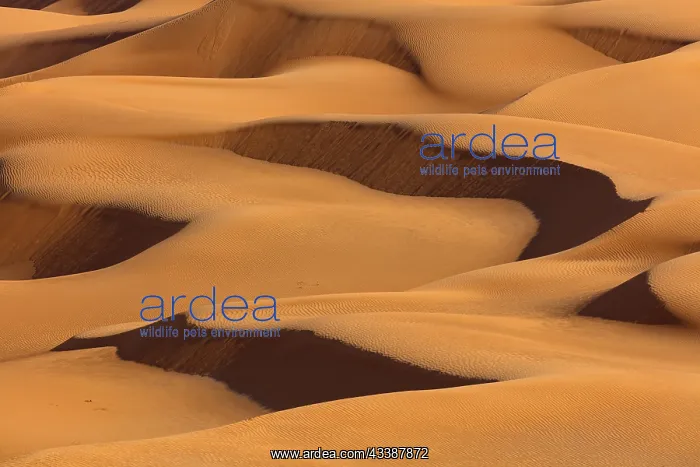  : Rub al-Shali, the largest desert on earth in Oman