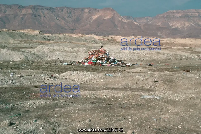 : Rubbish dumped in the middle of the desert : Rubbish dumped in the middle of the desert