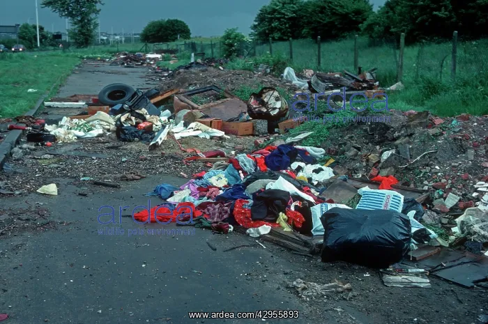: Rubbish dumped in roadside layby : Rubbish dumped in roadside layby