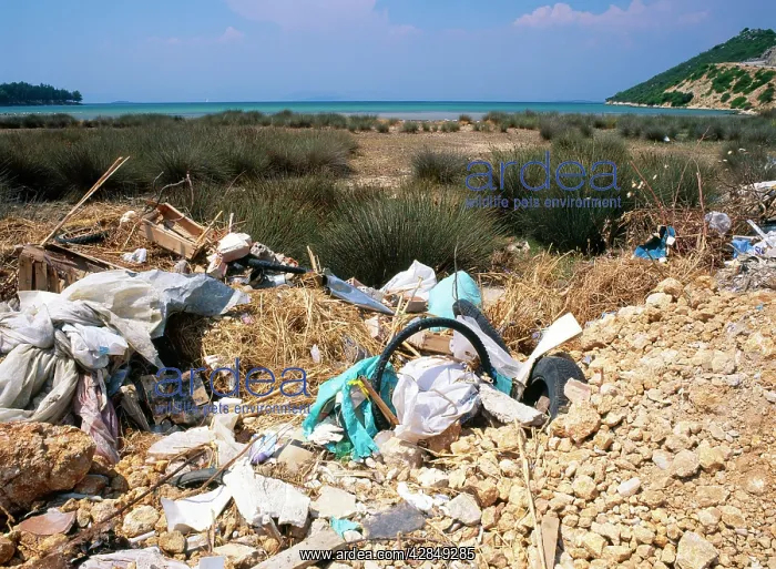 : Rubbish - Fly tipping dumped at Saltmarsh edge : Rubbish - Fly tipping dumped at Saltmarsh edge