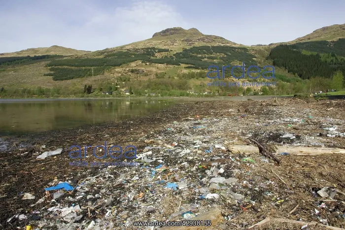 : Rubbish - litter & debris washed up : Rubbish - litter & debris washed up