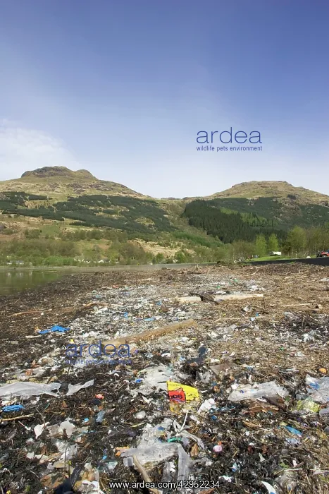 : Rubbish - litter & debris washed up : Rubbish - litter & debris washed up