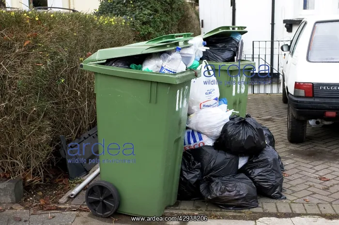 : Rubbish overflowing council dustbins and rubbish : Rubbish overflowing council dustbins and rubbish