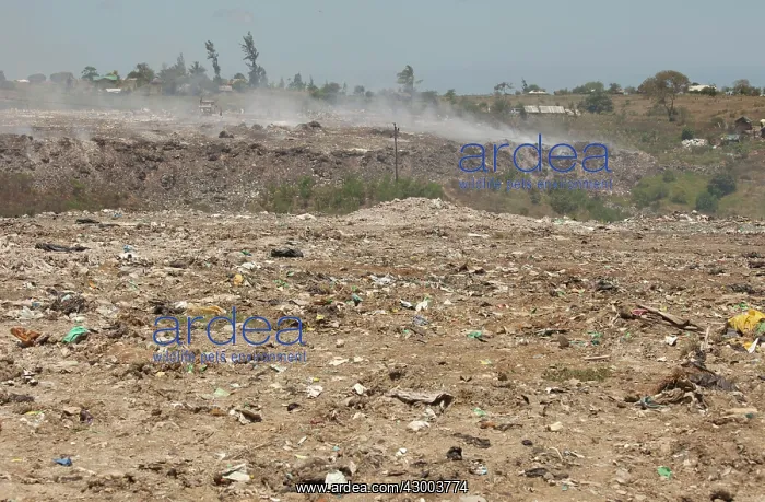 : Rubbish Waste Dump : Rubbish Waste Dump