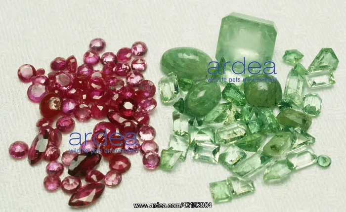 : Rubies and Emeralds : Rubies and Emeralds