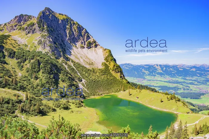: Rubihorn (1957m) and Lower Gaisalpsee, Allgcu Al : Rubihorn (1957m) and Lower Gaisalpsee, Allgcu Al
