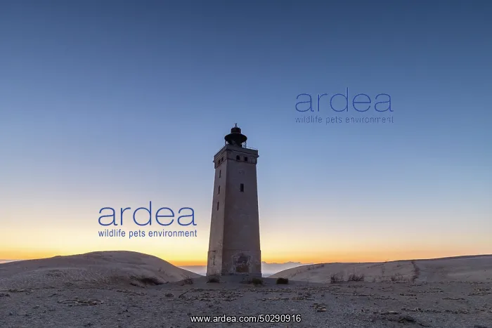 : Rubjerg Knude Lighthouse : Rubjerg Knude Lighthouse