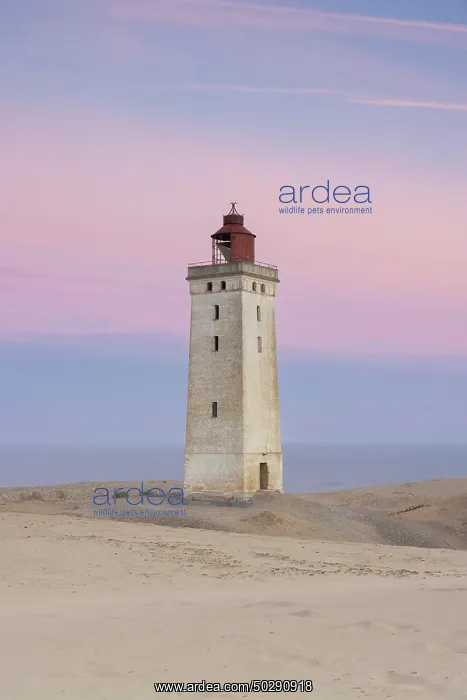 : Rubjerg Knude Lighthouse : Rubjerg Knude Lighthouse