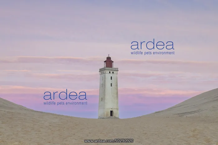 : Rubjerg Knude Lighthouse : Rubjerg Knude Lighthouse