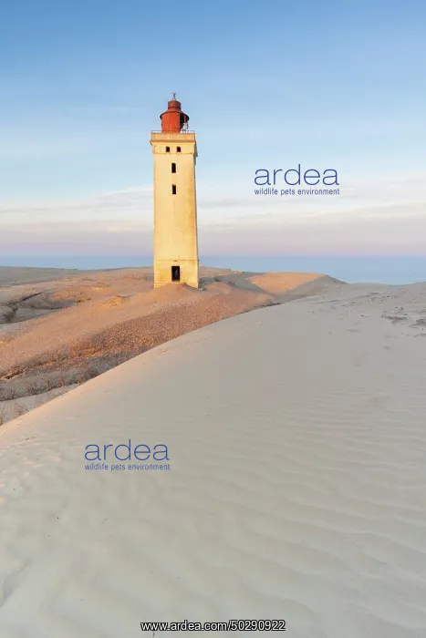 : Rubjerg Knude Lighthouse : Rubjerg Knude Lighthouse