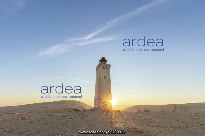 : Rubjerg Knude Lighthouse : Rubjerg Knude Lighthouse