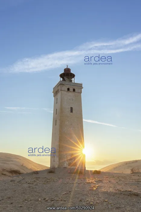 : Rubjerg Knude Lighthouse : Rubjerg Knude Lighthouse