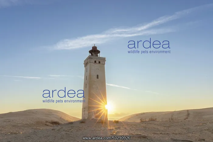 : Rubjerg Knude Lighthouse : Rubjerg Knude Lighthouse