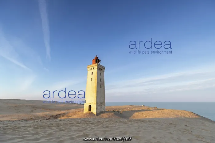 : Rubjerg Knude Lighthouse : Rubjerg Knude Lighthouse