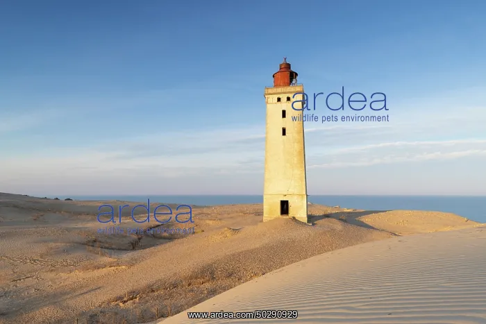 : Rubjerg Knude Lighthouse : Rubjerg Knude Lighthouse