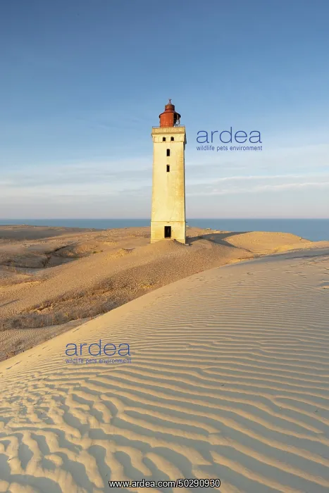 : Rubjerg Knude Lighthouse : Rubjerg Knude Lighthouse