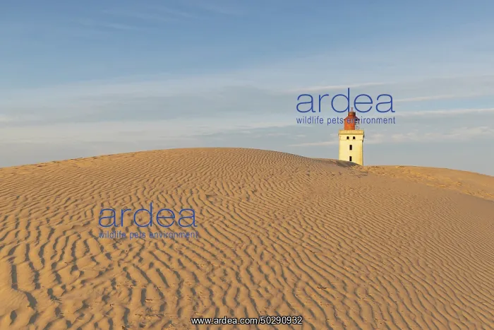 : Rubjerg Knude Lighthouse : Rubjerg Knude Lighthouse