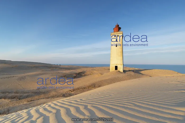 : Rubjerg Knude Lighthouse : Rubjerg Knude Lighthouse