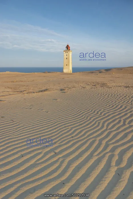: Rubjerg Knude Lighthouse : Rubjerg Knude Lighthouse