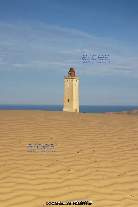 : Rubjerg Knude Lighthouse : Rubjerg Knude Lighthouse