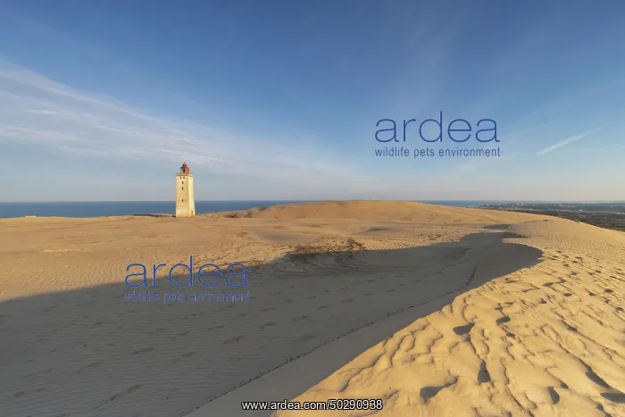 : Rubjerg Knude Lighthouse : Rubjerg Knude Lighthouse