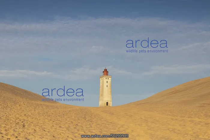 : Rubjerg Knude Lighthouse : Rubjerg Knude Lighthouse
