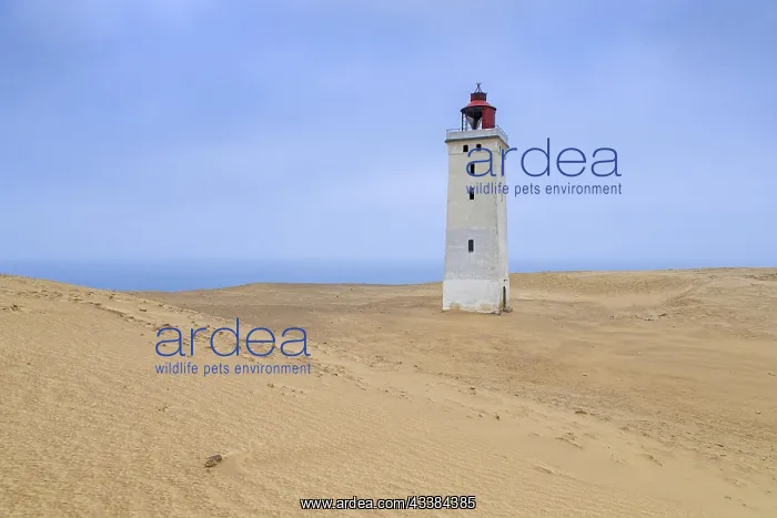 : Rubjerg Knude Lighthouse, Rubjerg Knude Fyr encroached by sa : Rubjerg Knude Lighthouse, Rubjerg Knude Fyr encroached by sa