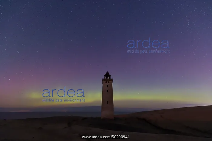 : Rubjerg Knude Northern lights
