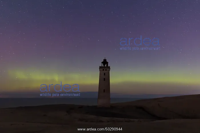 : Rubjerg Knude Northern lights : Rubjerg Knude Northern lights