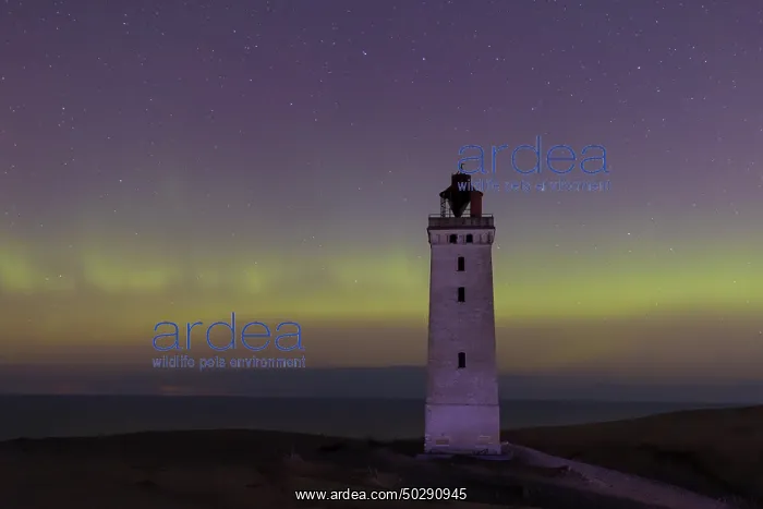 : Rubjerg Knude Northern lights : Rubjerg Knude Northern lights