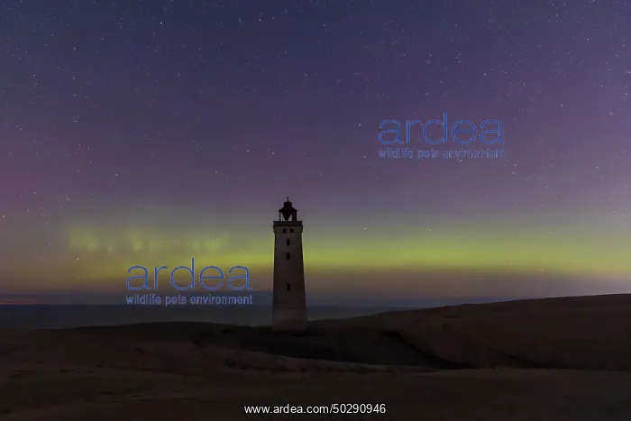  : Rubjerg Knude Northern lights