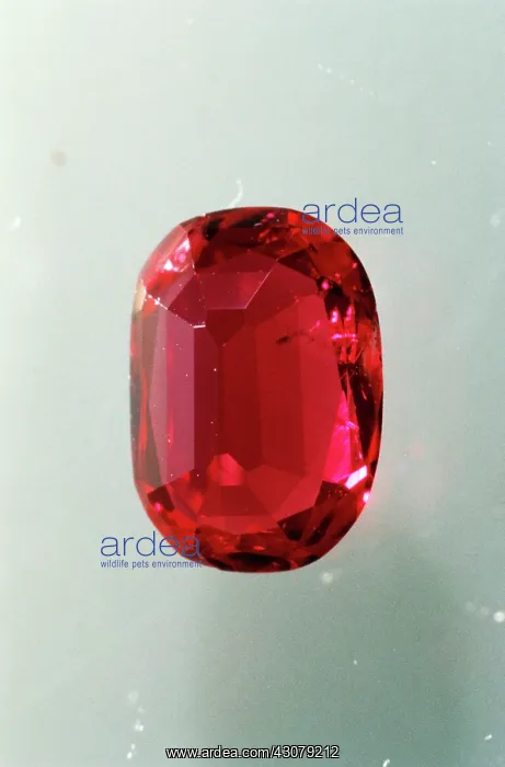: Ruby : Ruby