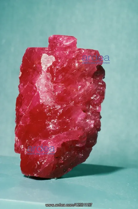 : Ruby (Corundum) - Red, 196 Carats, Rough Gem : Ruby (Corundum) - Red, 196 Carats, Rough Gem