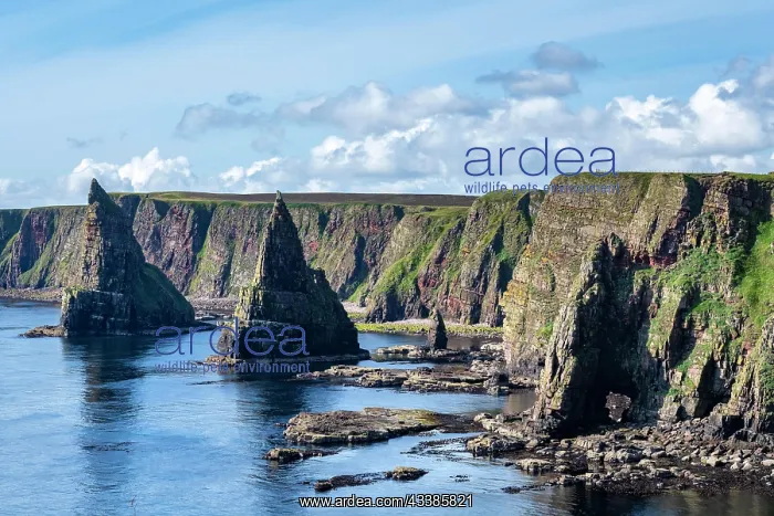 : Rugged coastal landscape with the Duncansby Stacks o : Rugged coastal landscape with the Duncansby Stacks o