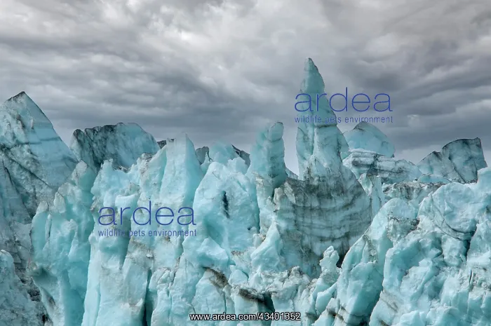  : Rugged ice at the face of Margerie Glacier make