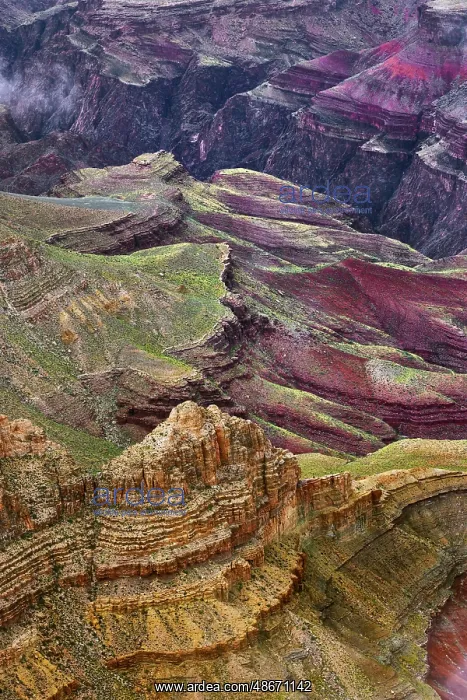 : Rugged pattern cut by Colorado River, Grand Canyon National : Rugged pattern cut by Colorado River, Grand Canyon National