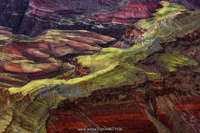 : Rugged pattern cut by Colorado River, Grand Canyon National : Rugged pattern cut by Colorado River, Grand Canyon National