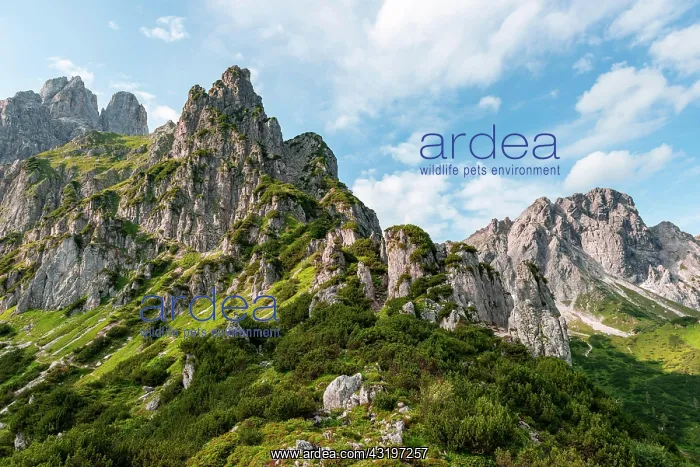 : Rugged peaks, mountains, Armkarwand, Groie Bischofsmatze : Rugged peaks, mountains, Armkarwand, Groie Bischofsmatze