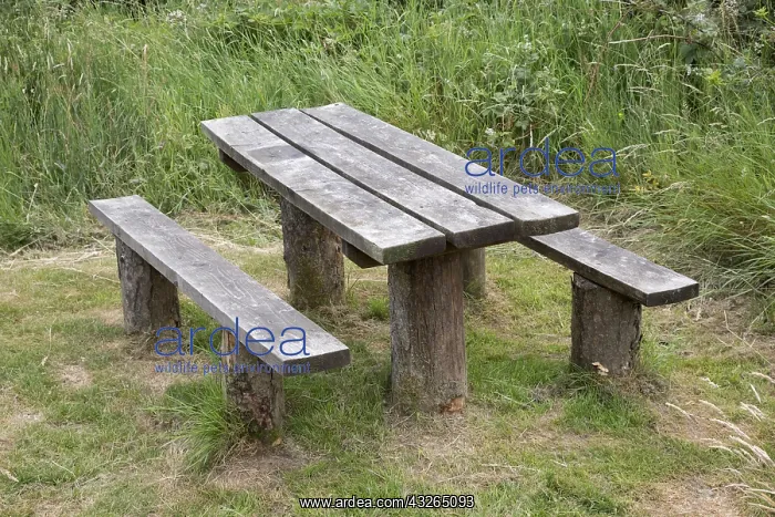 : Rugged picnic table made of logs and timber planks : Rugged picnic table made of logs and timber planks