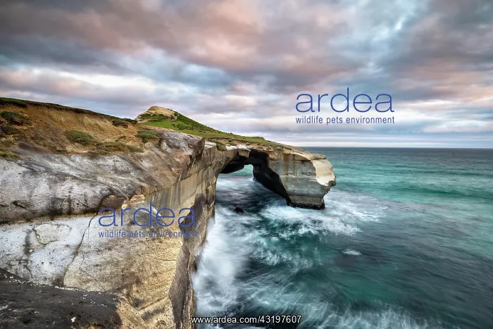 : Rugged rock formation at Tunnel Beach, Dunedin : Rugged rock formation at Tunnel Beach, Dunedin