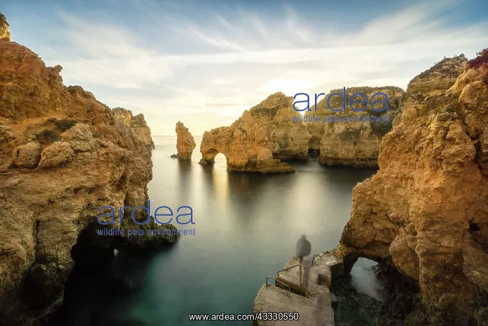 : Rugged rocky coast, cliffs and arches in Ponta da : Rugged rocky coast, cliffs and arches in Ponta da