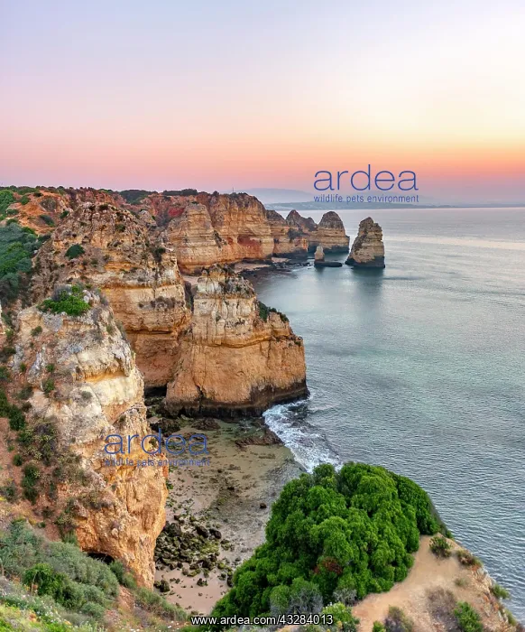 : Rugged rocky coast with cliffs of sandstone, rock : Rugged rocky coast with cliffs of sandstone, rock