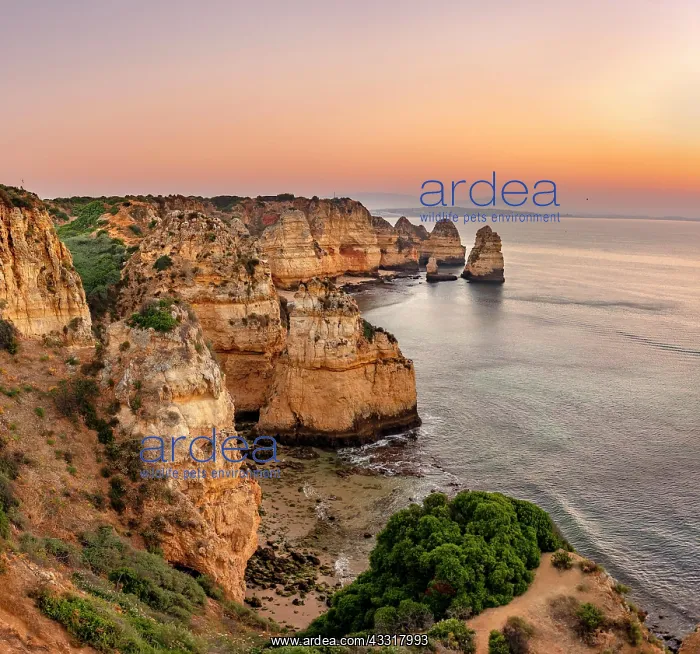 : Rugged rocky coast with cliffs of sandstone, rock : Rugged rocky coast with cliffs of sandstone, rock